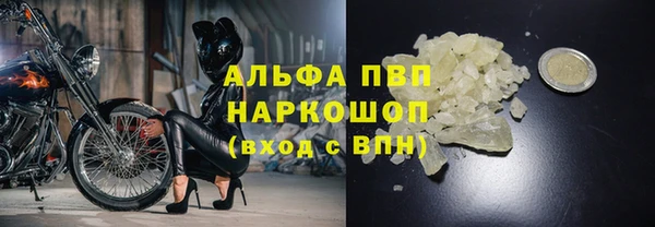 дмт Абаза