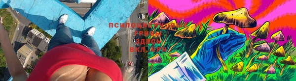 прущая мука Абинск