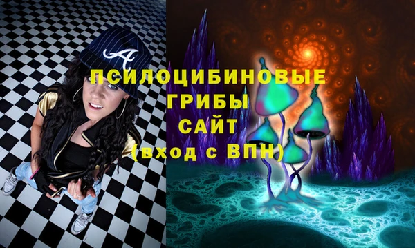 шишки Абдулино