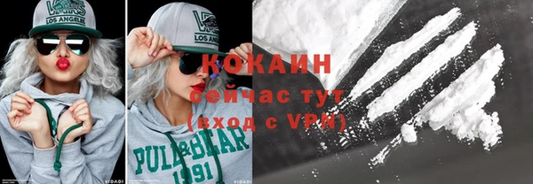 дмт Абаза