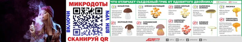 Псилоцибиновые грибы Psilocybine cubensis где найти Ярославль